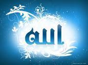 Mohamed Shazly