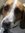 Kate Waller | 1 comments