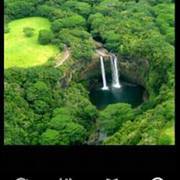 وليد آل الشيخ