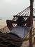 Sudhans...