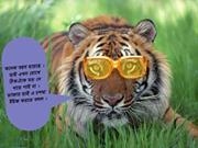 সুন্দরবন বলছি