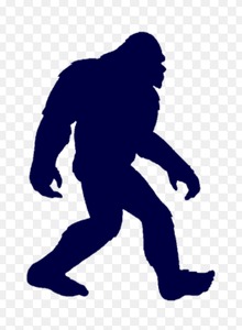 Canadianbigfoot