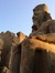 Ahmed Rashwan
