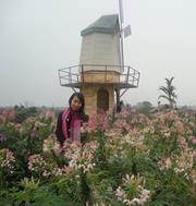 Bố Thùy dương