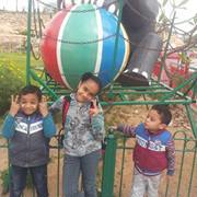 Bosee Badr