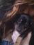 Roxxii(: