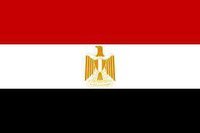 Amr Eltahawe