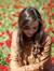 Anna J