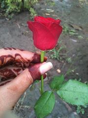 ਤੇਜਬੀਰ ਕੌਰ