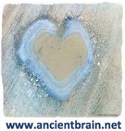 Ancient Brain