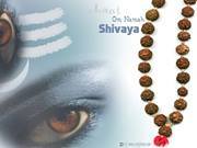 Suresh Yadav