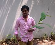 Rahul Stevee