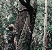 Amelia Wilding