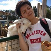 Andresfelipe Herrera