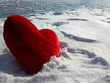 زهرة الساحل