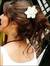 Parvathy M