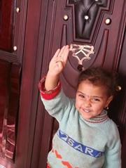 احمد فريد صدقى