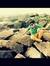Nabeel ...