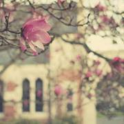 صل على النبي