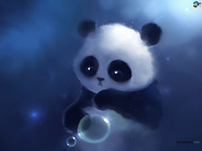 My-anh To