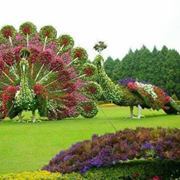 बन्दना न्यौपाने