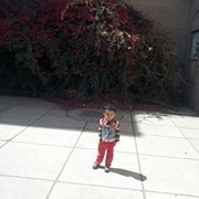 المعتصم بالله