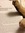 Julie White (julie_white) | 1 comments