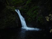 shannon kenneth curry