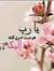 Safaa Safy