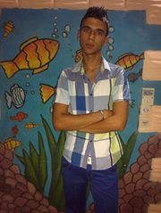 Mostafa Jarwan