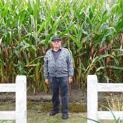 Jules Vanhaelemeesch