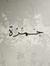 ابا المثنى