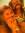 katelyn