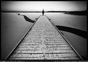 Mostafa Elelemy