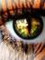 Bookettes Reviews