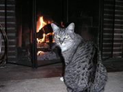 Michelle Watson Forbes