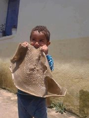 Dawit Mekonnen