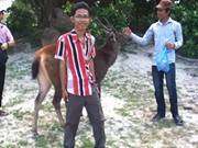 Samnang Ravy