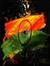 Harshal...