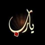 Nour Elsayed
