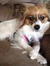 Addie