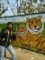Syed Ahmed