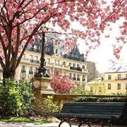 Nafeesah Abdul-rahim