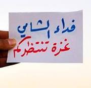 فداء الشامي