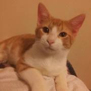 Christopher Waguespack