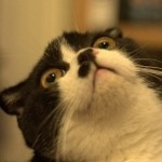 Goodreads profile picture for @radek