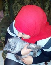 Hadeer Hafez