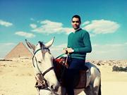 Mahmoud Abdel wahab