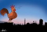 Usama Abd elbary