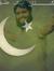 Jamil U...